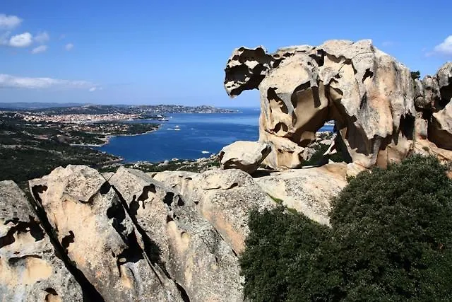 Apartament Galatea *